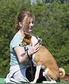 Basenji KSM Muenster 2014 (1102)